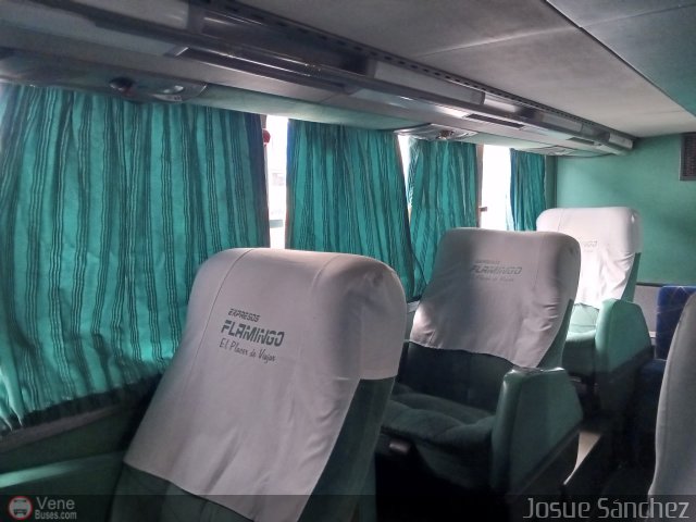 Expresos Flamingo 0141 por Josue S�nchez