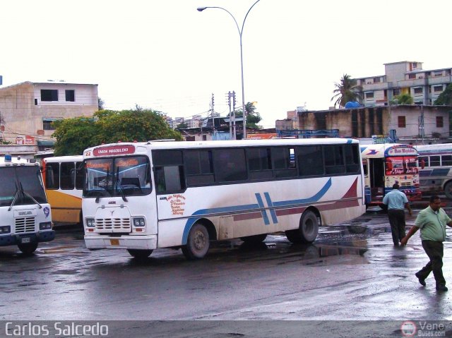 Unin Magdaleno A.C. 22 por Carlos Salcedo