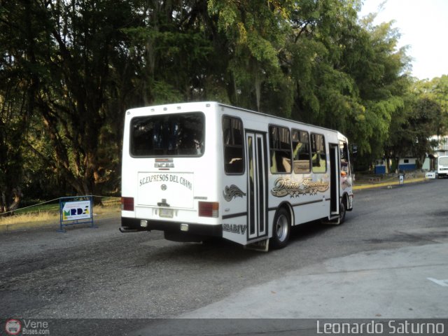 S.C. Lnea Transporte Expresos Del Chama 009 por Leonardo Saturno