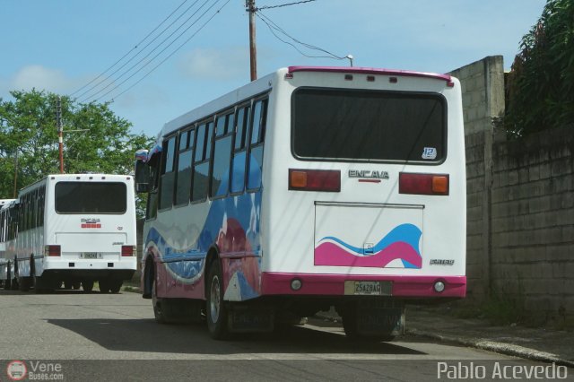 Particular o Desconocido 12 por Pablo Acevedo