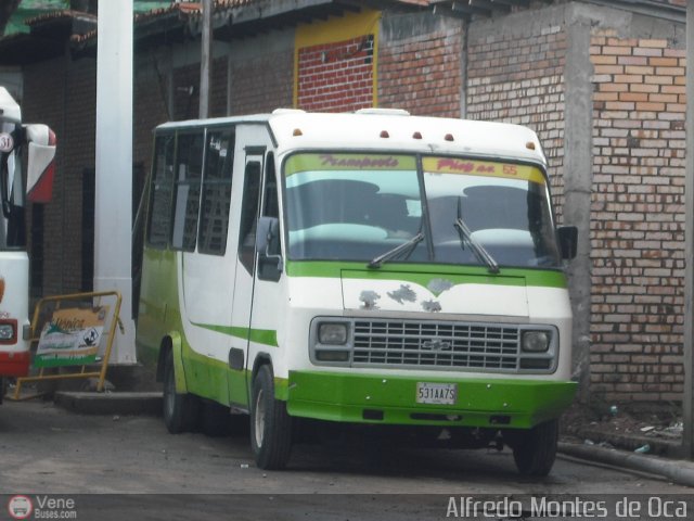 A.C. Transporte Paez 055 por Alfredo Montes de Oca