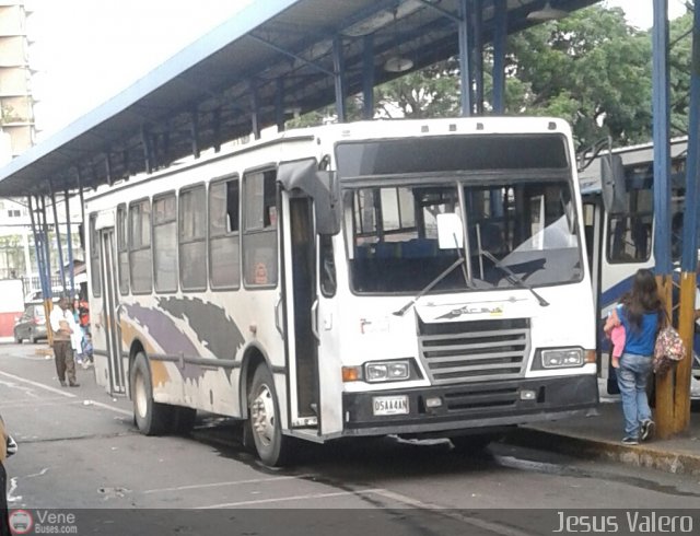 Colectivos Bripaz 135 por Jess Valero