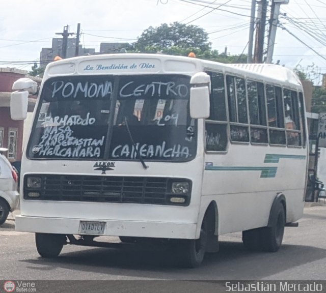 ZU - Colectivo Pomona 12 por Sebastin Mercado