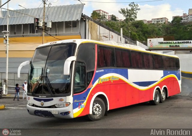 Expresos Alianza 109 por Alvin Rond�n