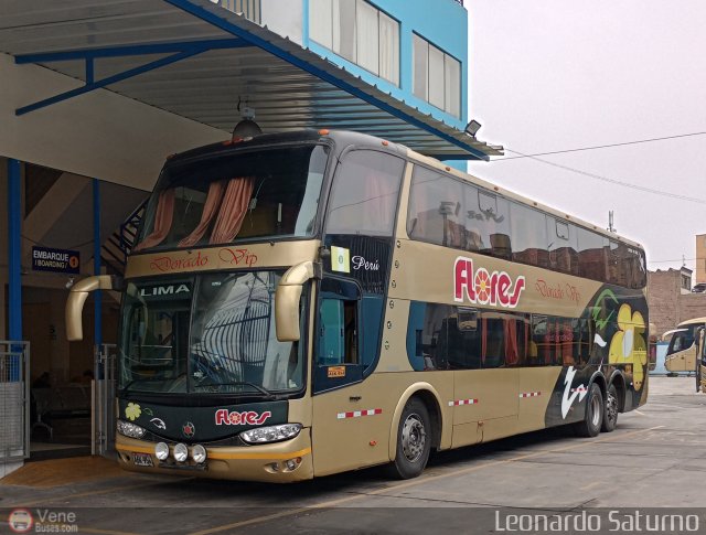 Transporte Flores Hermanos S.R.L 954 por Leonardo Saturno