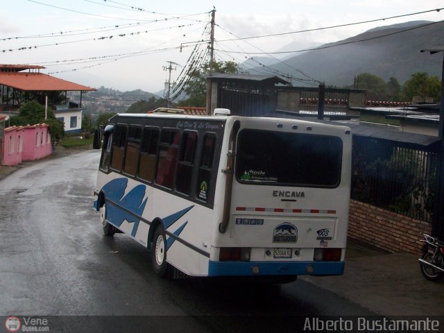 L�nea Rivas D�vila 0003 por Alberto Bustamante