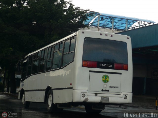 A.C. de Transporte Larense 11 por Oliver Castillo