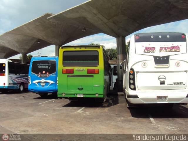 Garajes Paradas y Terminales San-Cristobal por Yenderson Cepeda