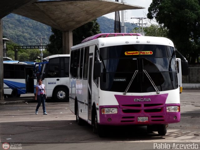 A.C. Transporte Paez 020 por Pablo Acevedo