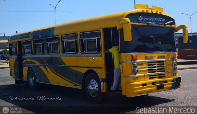ZU - Colectivos Concepci�n 014 por Sebasti�n Mercado
