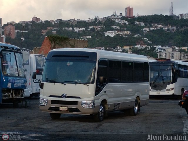 Global VIP  por Alvin Rond�n