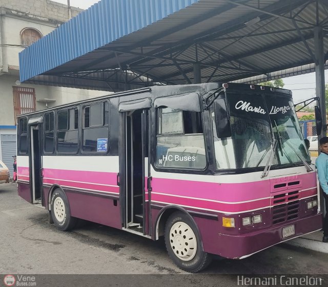 U.C. Mara Lionza 03 por Alvin Rondn