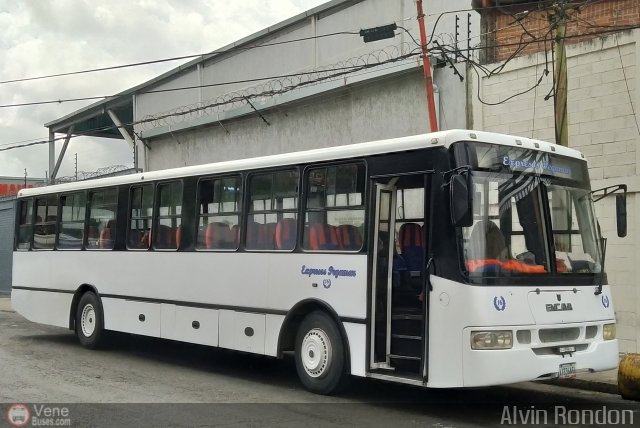 Expresos Pegamar 1016 por Alvin Rond�n