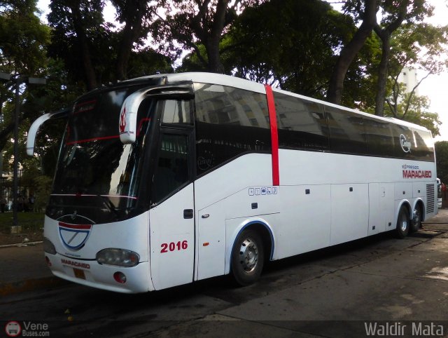 Expresos Maracaibo 2016 por Waldir Mata