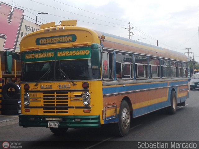 ZU - Colectivos Concepci�n 095 por Sebasti�n Mercado