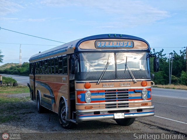 L�nea Curarigua 02 por Santiago Dorante