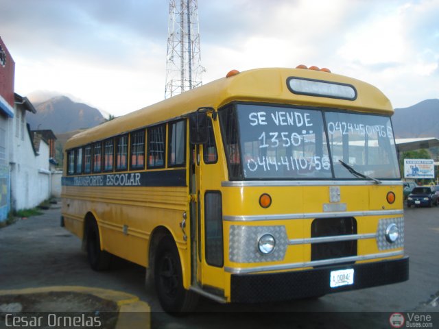 Universitarios y Escolares 999 por Cesar Ornelas