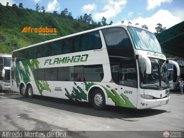 Expresos Flamingo 0141 por Alfredo Montes de Oca