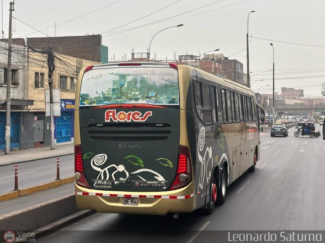 Transporte Flores Hermanos S.R.L 954 por Leonardo Saturno