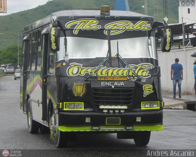 Cooperativa de Transporte Lucero Mundo 23 por Andrs Ascanio