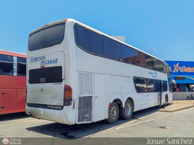 Expresos Pegamar 2025 por Josue Sánchez