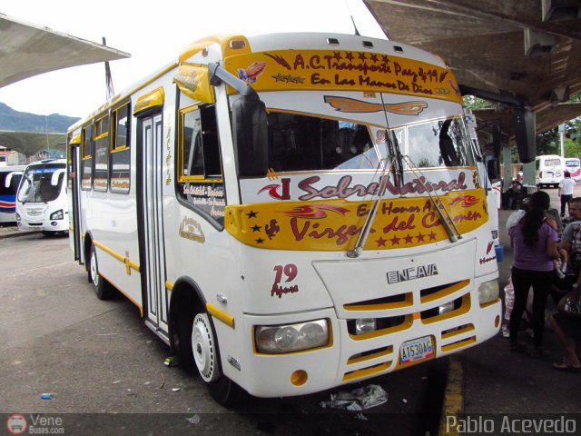 A.C. Transporte Paez 019 por Pablo Acevedo