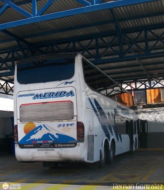 Expresos M�rida 0239 por Hernan Gonzalez