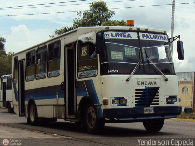 TA - A.C. Autos por puesto Lnea Palmira 077 por Yenderson Cepeda