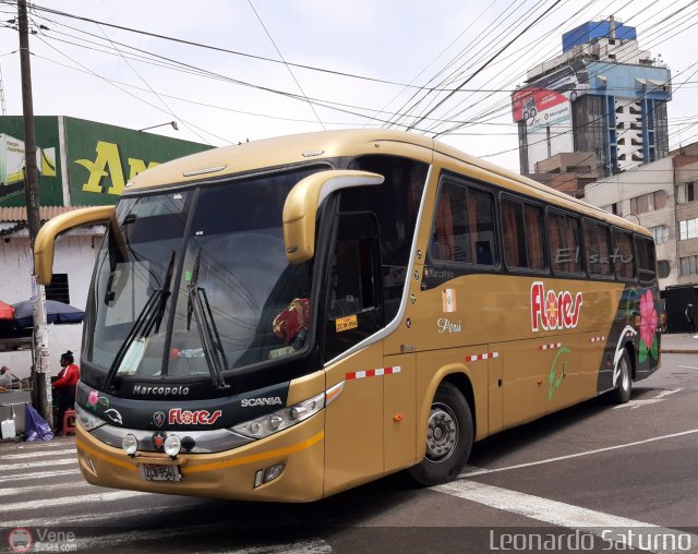 Transporte Flores Hermanos S.R.L 954 por Leonardo Saturno