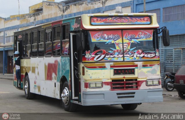 Transporte Guacara 0158 por Andr�s Ascanio
