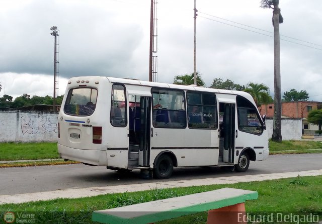 A.C. de Transporte Los Rapiditos de Montalbn 10 por Eduard Delgado