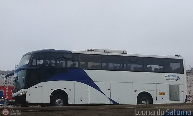 Particular 953 por Leonardo Saturno