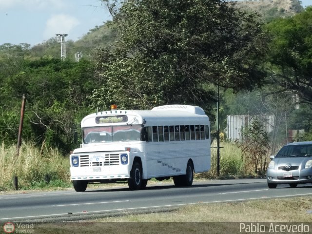 Transporte Colectivo Palo Negro 90 por Pablo Acevedo