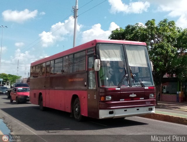 Expresos Valle de Guantar 02 por Miguel Pino