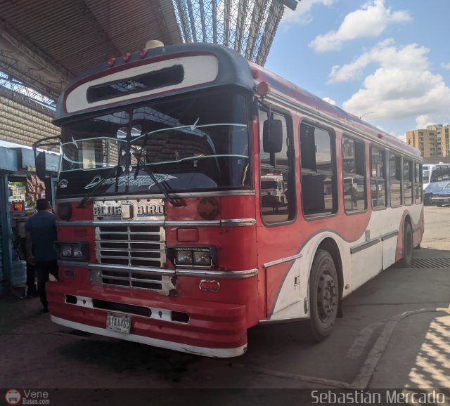 Colectivo Matera Nueva 08 por Sebastin Mercado