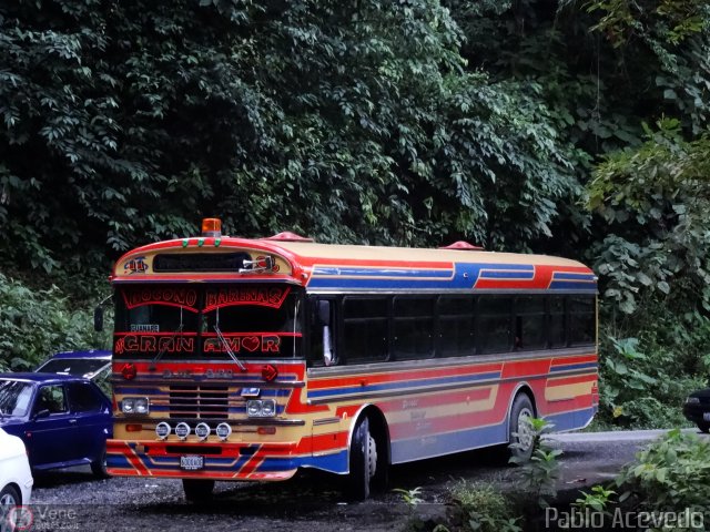 A.C. Transporte Independiente 11 por Pablo Acevedo