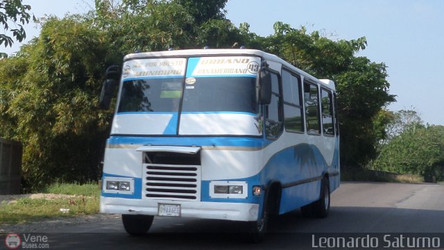 A.C. L�nea Por Puesto Urbano Mun. Panamericano 43 por Leonardo Saturno