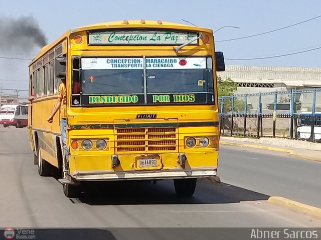 ZU - Colectivos Concepci�n 044 por Abner Sarcos