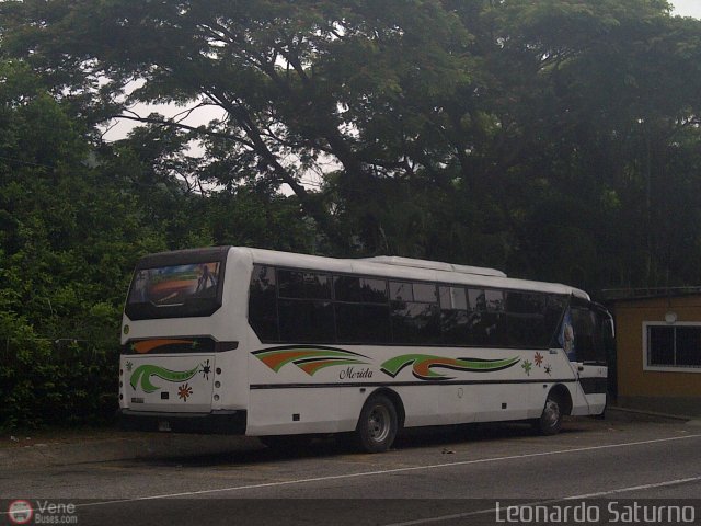 Colectivo Los Andes 26 por Leonardo Saturno