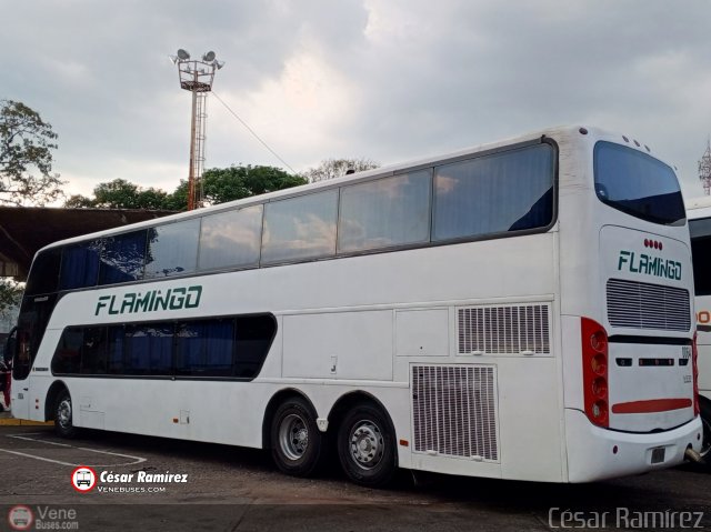 Expresos Flamingo 0064 por C�sar Ram�rez