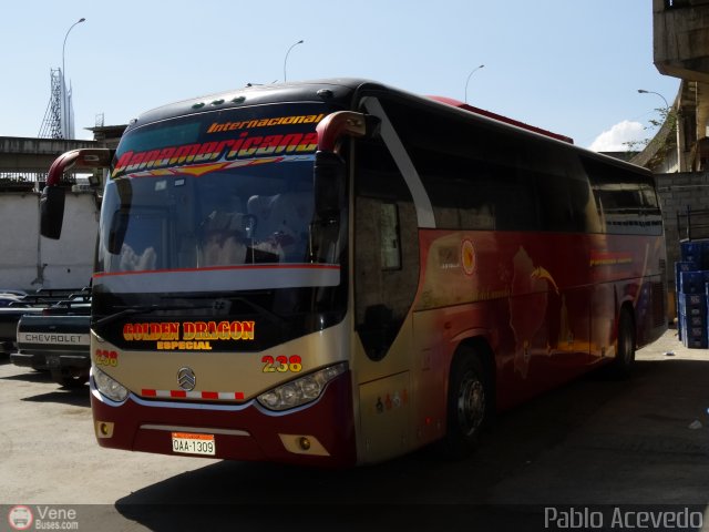 Panamericana Internacional 238 por Pablo Acevedo