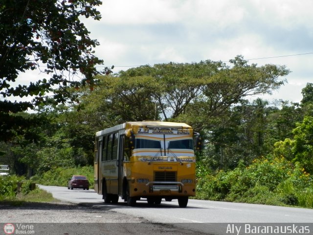 A.C. de Transporte Encarnaci�n 182 por Aly Baranauskas