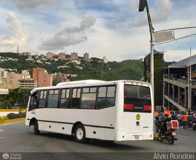 A.C. de Transporte Larense 30 por Alvin Rondn