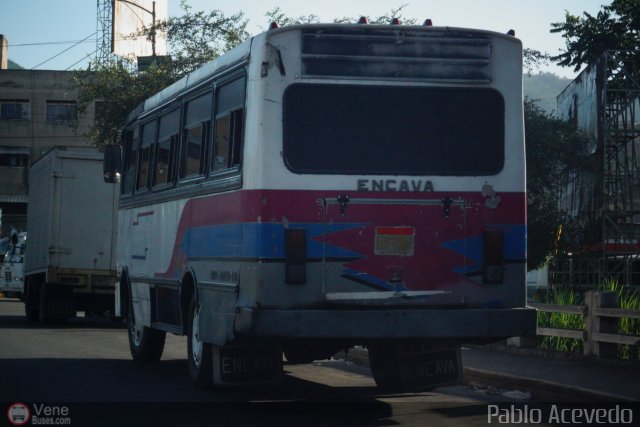 Particular o Desconocido 128 por Pablo Acevedo