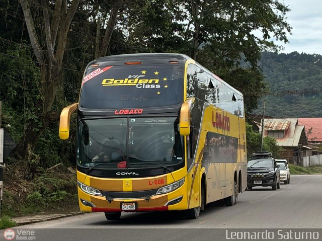 Expreso Lobato 608 por Leonardo Saturno