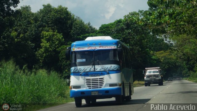 A.C. Pedraza 095 por Pablo Acevedo