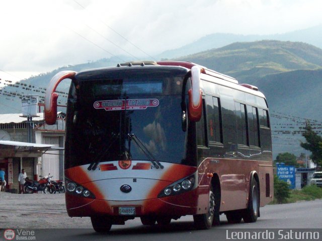 Colectivo Los Andes 41 por Leonardo Saturno