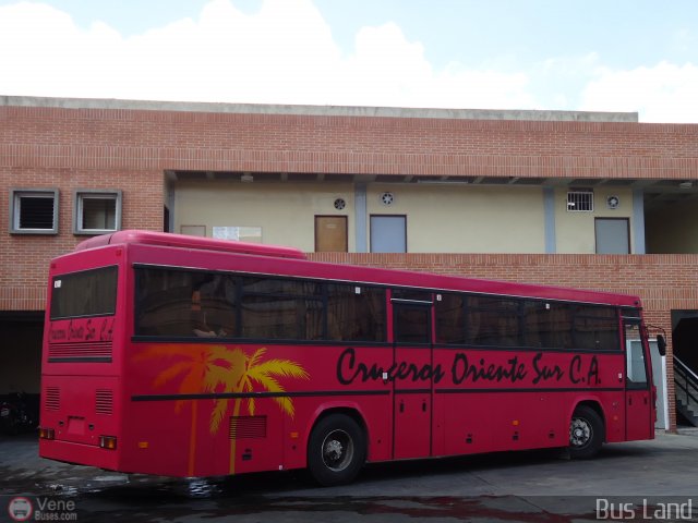 Cruceros Oriente Sur 107 por Waldir Mata