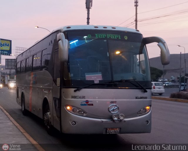 Camo Tour 914 por Leonardo Saturno