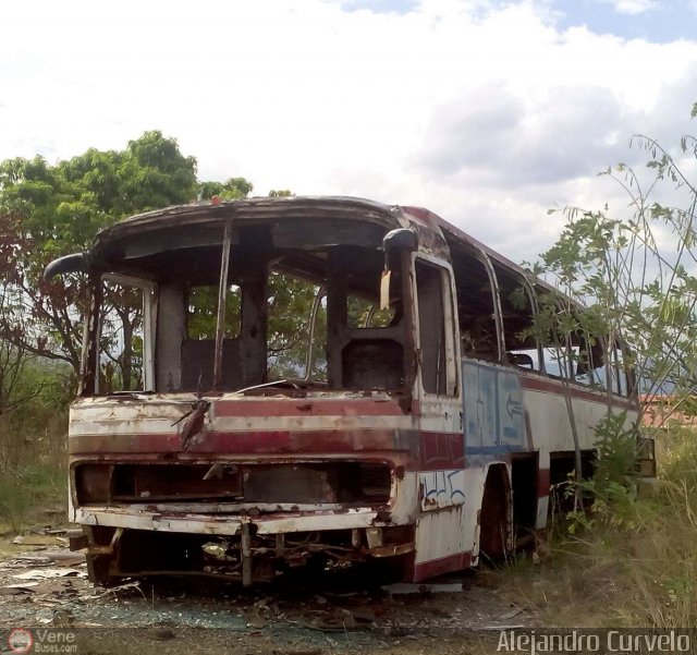 En Chiveras Abandonados Recuperacin 2904 por Alejandro Curvelo
